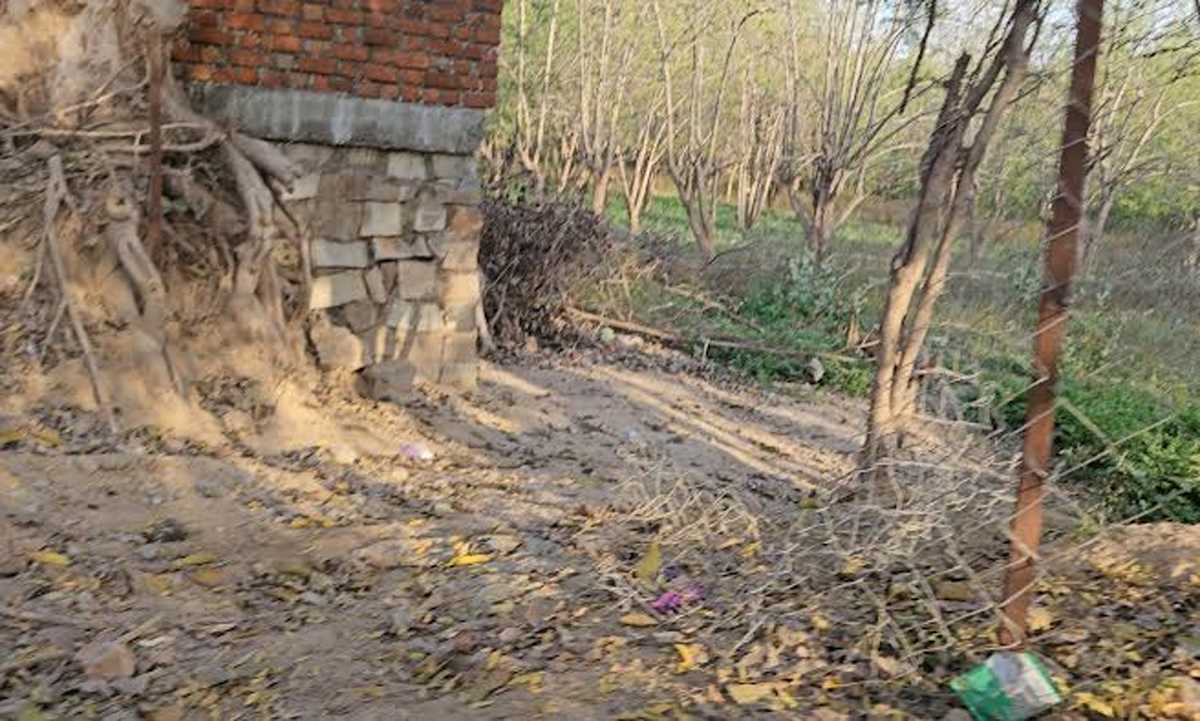 प्रशासन पर भूमाफिया इस कदर हावी कि बीच शहर में बन रही अवैध कॉलोनी प्रशासन पर भूमाफिया इस कदर हावी कि बीच शहर में बन रही अवैध कॉलोनी